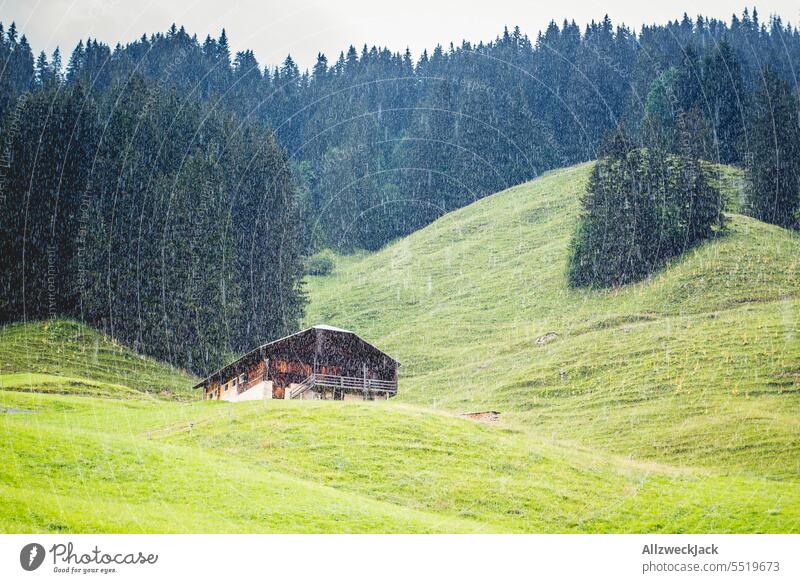 schweizer Alm mit einem Chalet und Wald im Hintergrund bei starkem Regen Schweiz Schweizer Alpen Wiese Natur grün saftig saftiges grün Tal Almhütte Starkregen