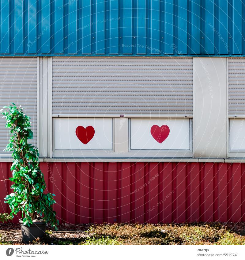 Freudenhaus Haus Fassade Fenster Fensterladen Rollladen Herz herzförmig blau weiß rot Bordell käufliche liebe Pflanze