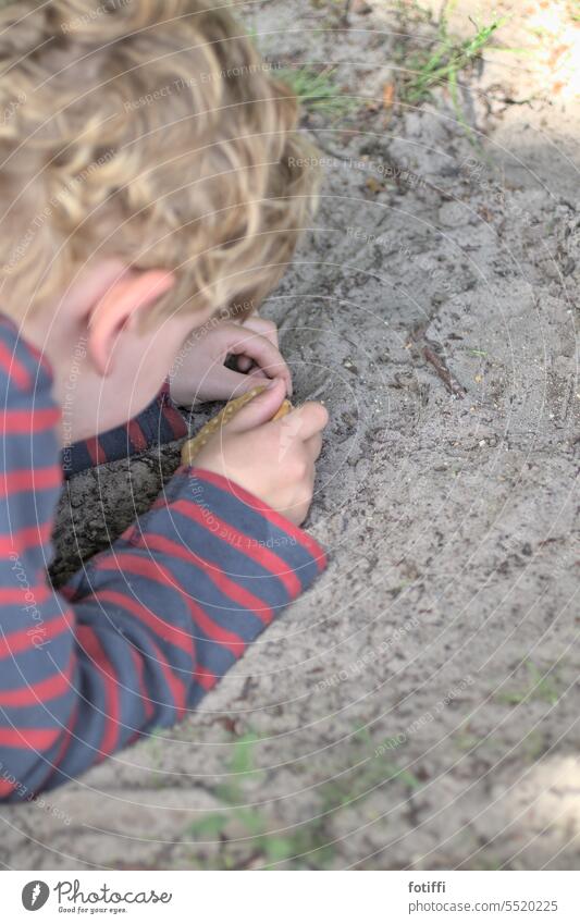 Kind entdeckt und untersucht Ameisen auf Sandboden forschen entdecken Neugier Mensch Interesse beobachten blick über die schulter Kindheit gucken anfassen