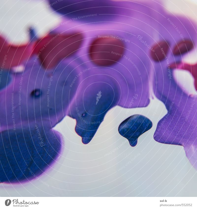 Blauer Punkt Stil Design exotisch schön Nagellack Kunst Kunstwerk Wasser Flüssigkeit einzigartig nah nass violett rot Im Wasser treiben fliegend Tropfen