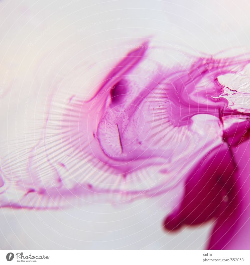 pnk Design schön Nagellack harmonisch Sinnesorgane Duft Kunst Kunstwerk Wasser exotisch Flüssigkeit frisch glänzend nass Originalität verrückt rosa fliegend