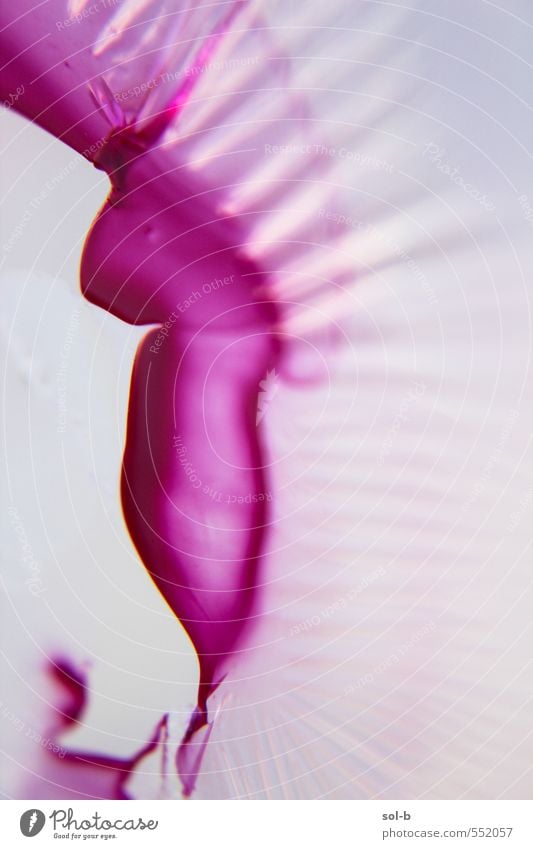 pnk II Design schön Nagellack Kunst Kunstwerk Wasser ästhetisch Duft exotisch fantastisch Flüssigkeit glänzend nah nass Originalität verrückt rosa