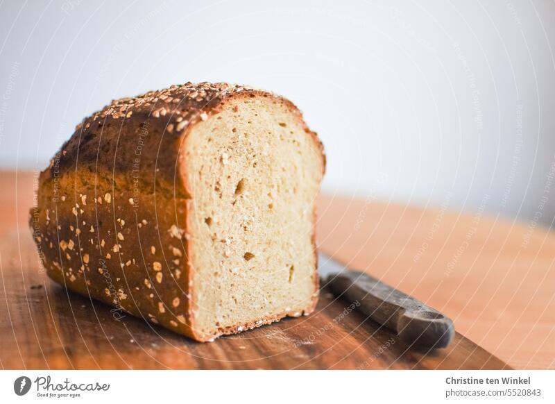 Unser täglich Brot Brotlaib Kruste knusprig Brotliebe selbstgemacht Oberfläche aromatisch lecker rustikal brotzzeit frisch selber backen schmackhaft