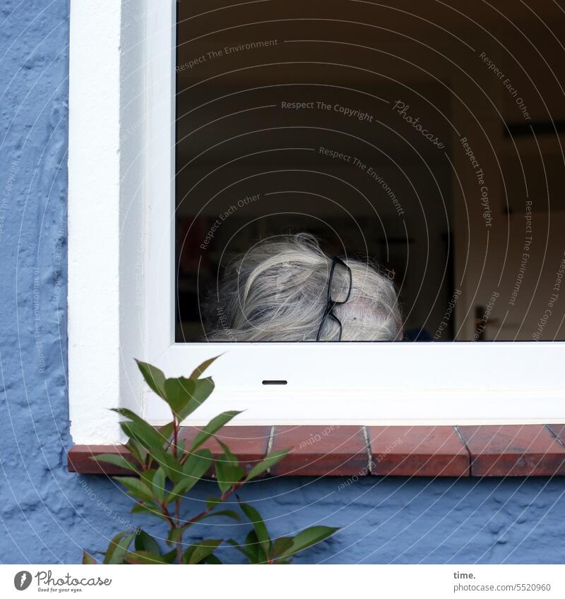 Mittagsschläfchen am offenen Fenster Kopf Brille grauhaarig Mauer Pflanze Zimmertür offenes Fenster Fensterrahmen wohnen schlafen erholen Pause müde Haare