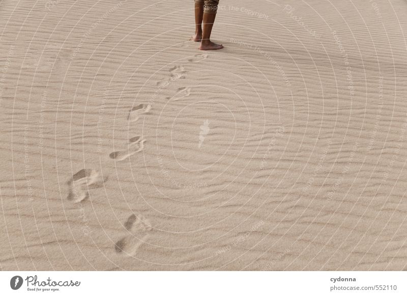 Neue Wege Leben Ferien & Urlaub & Reisen Tourismus Ausflug Abenteuer Ferne Freiheit wandern Mensch Mann Erwachsene Fuß Umwelt Natur Sand Sommer Strand Wüste