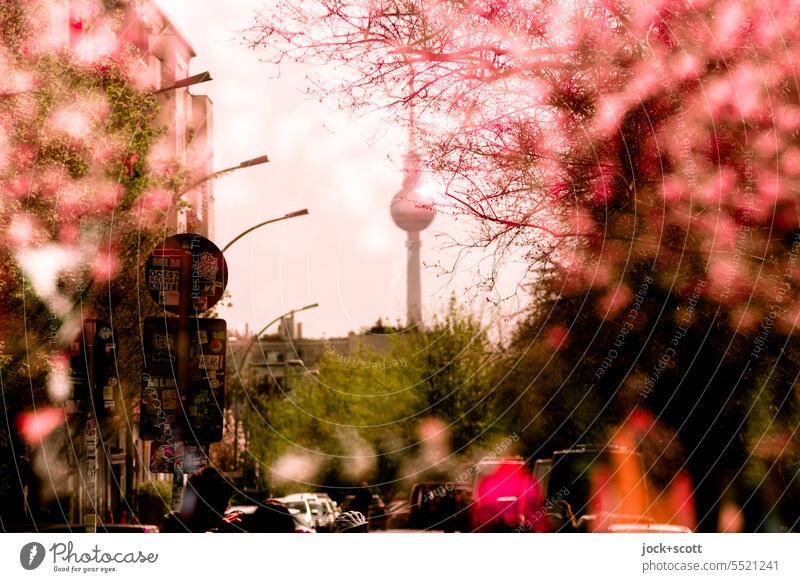 Im Rausch der Kirschblüten mit Fernsehturm Berliner Fernsehturm Doppelbelichtung Wahrzeichen Prenzlauer Berg Silhouette Reaktionen u. Effekte Bokeh defokussiert