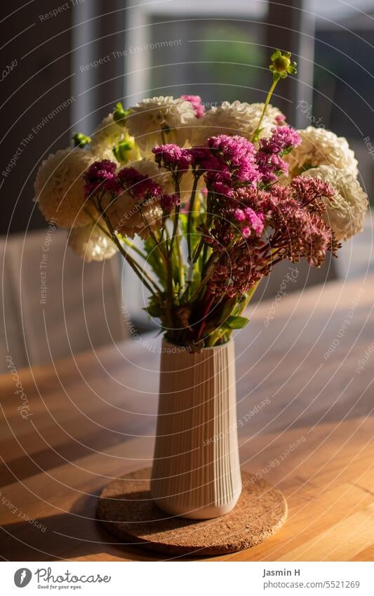 Blumenstrauß in einer Vase Blüte Blühend Farbfoto Natur Innenaufnahme Tag lila weiß Dahlien Dekoration & Verzierung Esstisch Sommer schön Pflanze wohnen