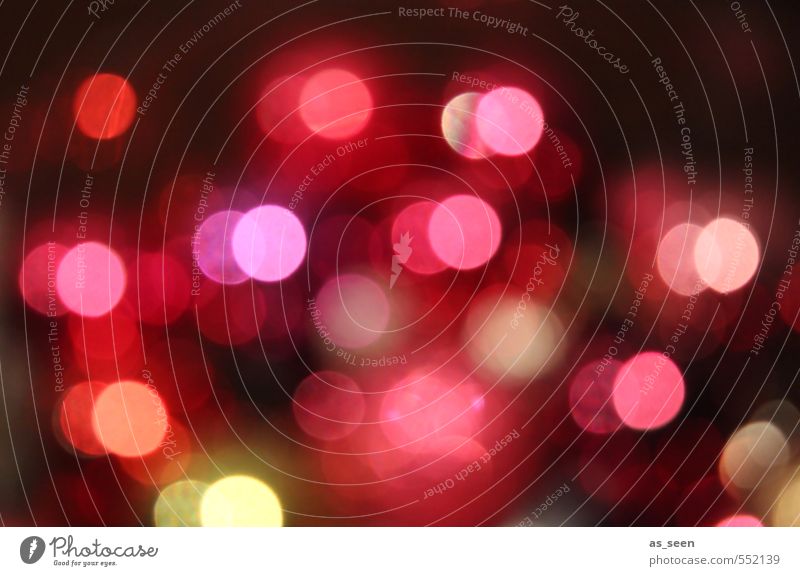 Pink Dots Nachtleben Musik Feste & Feiern Weihnachten & Advent Silvester u. Neujahr Stadt Bewegung glänzend Fröhlichkeit trendy modern rund rosa rot Gefühle