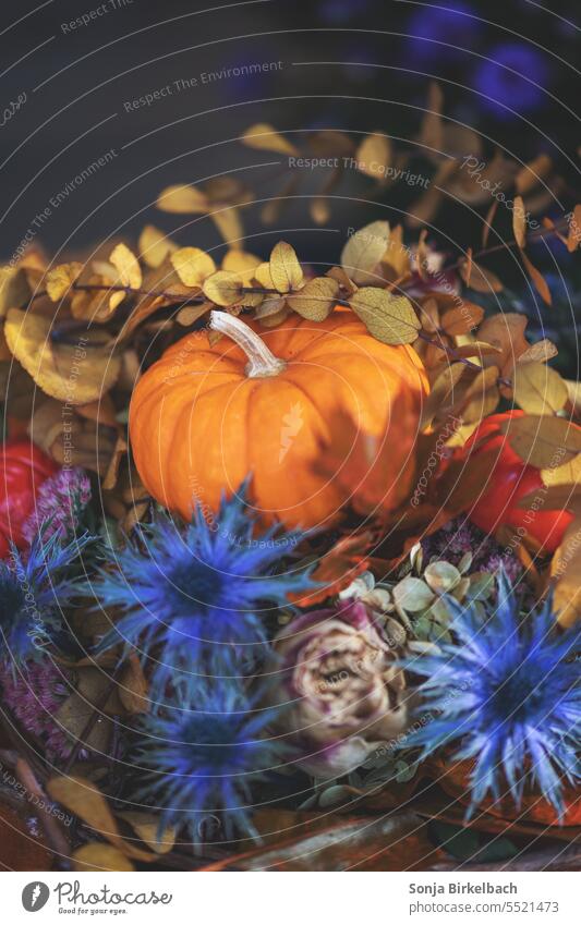 Es herbstelt - Blumendeko mit Kürbis Herbst Dekoration Floristik Halloween Dekoration & Verzierung orange Oktober Erntedankfest Gemüse saisonbedingt Nahaufnahme