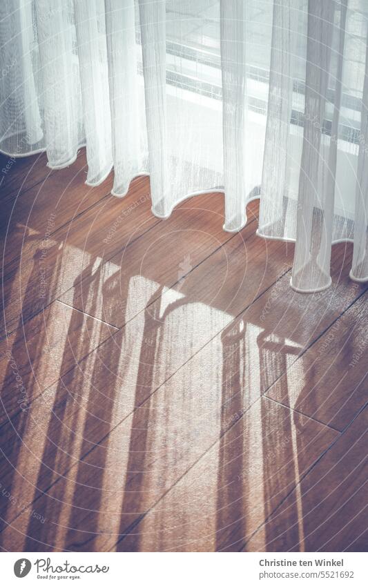 Eine weiße Gardine und ihr Schatten im Sonnenlicht Fenster Vorhang Stoff Licht Häusliches Leben Faltenwurf Strukturen & Formen Raum hängen Textilien