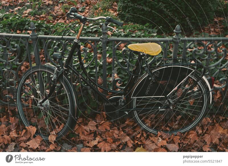 Fahrrad an einem Gusseisernen Geländer angeschlossen Fahrrad abstellen Verkehrsmittel Mobilität parken Rad umweltfreundlich Freizeit & Hobby nachhaltig