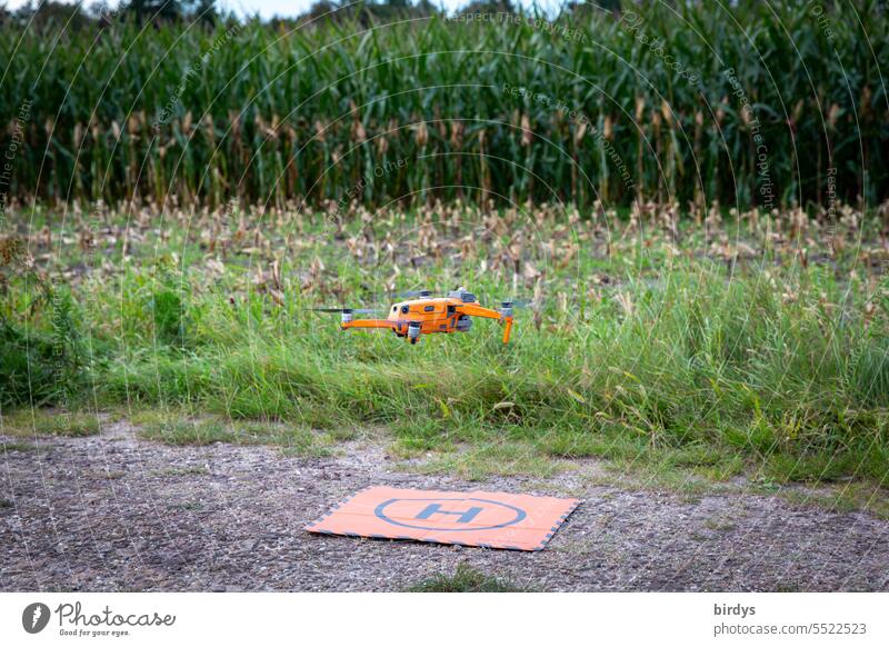 Drohne mit Wärmebildkamera beim Start über ein Maisfeld vor der Ernte um Tiere aufzuspüren die darin sind Wildüberwachung Hege Startpunkt Erntevorbereitung