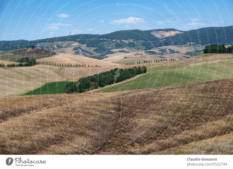 Ländliche Landschaft bei Volterra, Toskana Europa Italien Juni Pisa Ackerbau Ballen Farbe Tag Bauernhof Feld Hügel Natur oliv Fotografie ländlich Sommer reisen
