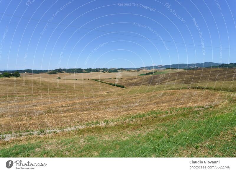 Ländliche Landschaft bei Volterra, Toskana Europa Italien Juni Pisa Ackerbau Ballen Farbe Tag Bauernhof Feld Hügel Natur oliv Fotografie ländlich Sommer reisen