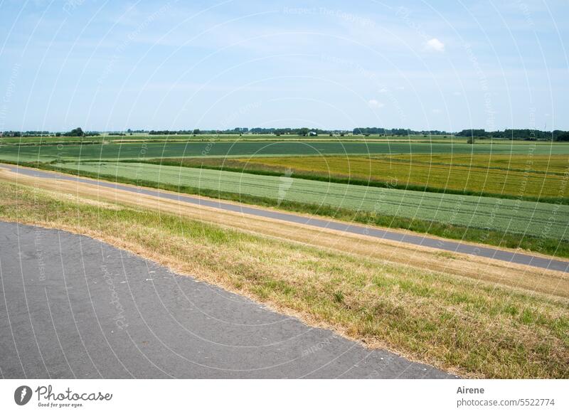 grün ist nicht gleich grün gerade Linien Linien & Formen Einsamkeit einsam Himmel Horizont Küstenschutz Niedersachsen Nordseeküste Ostfriesland Deich Weg