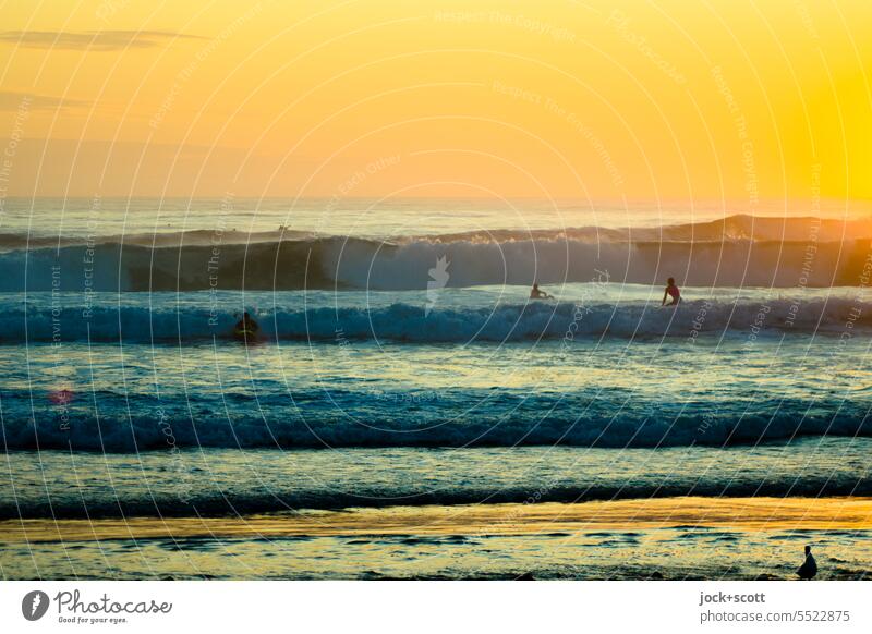 immer wieder | Welle für Welle Brandung Meer Wellen Horizont Wellengang Natur Sonnenaufgang Surfer Surfen Wassersport Lifestyle Morgen Sonnenlicht Gegenlicht