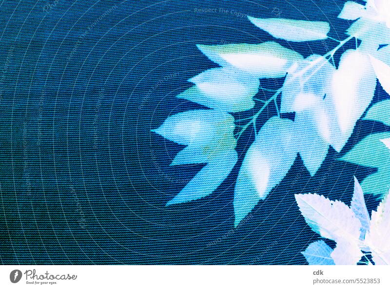 Blattwerk | in Farbe getaucht | türkis auf dunkelblau. Blätter Natur Pflanze Kirschblätter Baum natürlich Garten Herbst Sommer Frühling Ast Laubwerk Saison