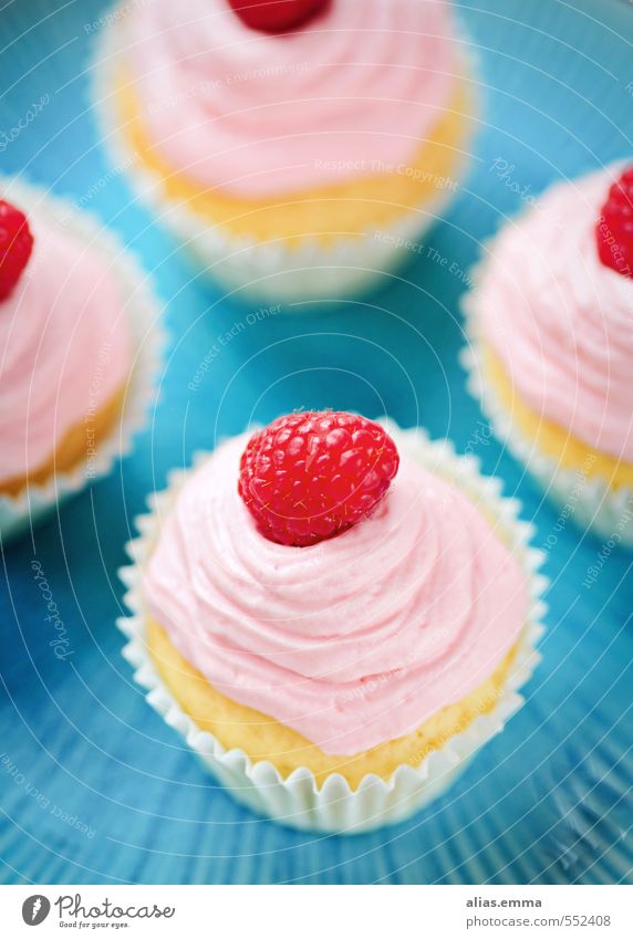 mädchen cupcakes Cupcake Muffin Backwaren Speise Foodfotografie Himbeeren rosa süß lecker Frucht blau fruchtig Sahne Schwache Tiefenschärfe 4