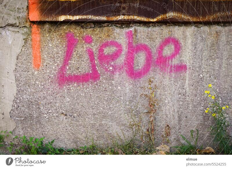 Liebe  steht in rosa an einer alten Mauer Graffiti Liebesbeweis Mitteilung Liebeserklärung Gefühle Liebesbekundung Symbole & Metaphern Verliebtheit Blog