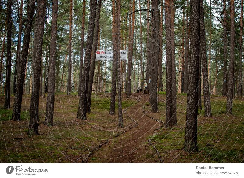 Kiefernwald mit Weg, der mit Ästen markiert ist. Oben sieht man ein Protestplakat gegen die Abholzung des Waldes zur  Umnutzung als Tagebaugebiet. Ochsenberg in Sachsen bei Kamenz.