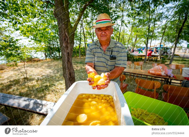 Senior hält in seinen Händen frisch geschälte, saubere junge Kartoffeln Schalen & Schüsseln heiter Küchenchef Sauberkeit Koch Speise essbar älter Landwirt