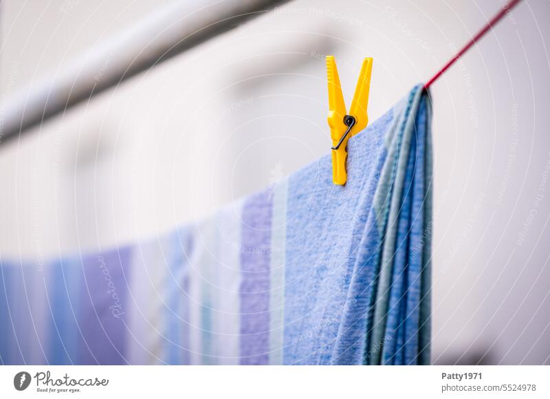 Wäsche auf der Leine. Wäscheklammer Wäscheleine aufhängen Waschtag Wäsche waschen Haushalt Häusliches Leben Alltagsfotografie Sauberkeit trocknen frisch