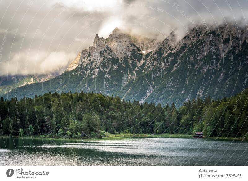 Morgens am Bergsee Berge u. Gebirge Alpen Landschaft Natur Idylle ruhig Himmel Erholung Wald Fichte wandern See Wasser Seeufer Licht und Schatten Grün Grau Tag