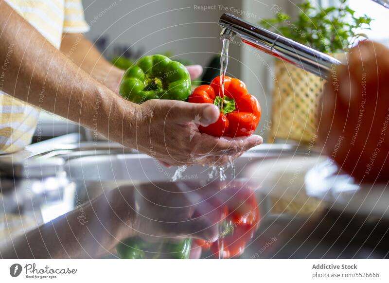 Mann wäscht Paprika unter dem Wasserhahn im Waschbecken Waschen Bestandteil vorbereiten Koch männlich Küche Prozess Vitamin Hausarbeit frisch strömen Sauberkeit