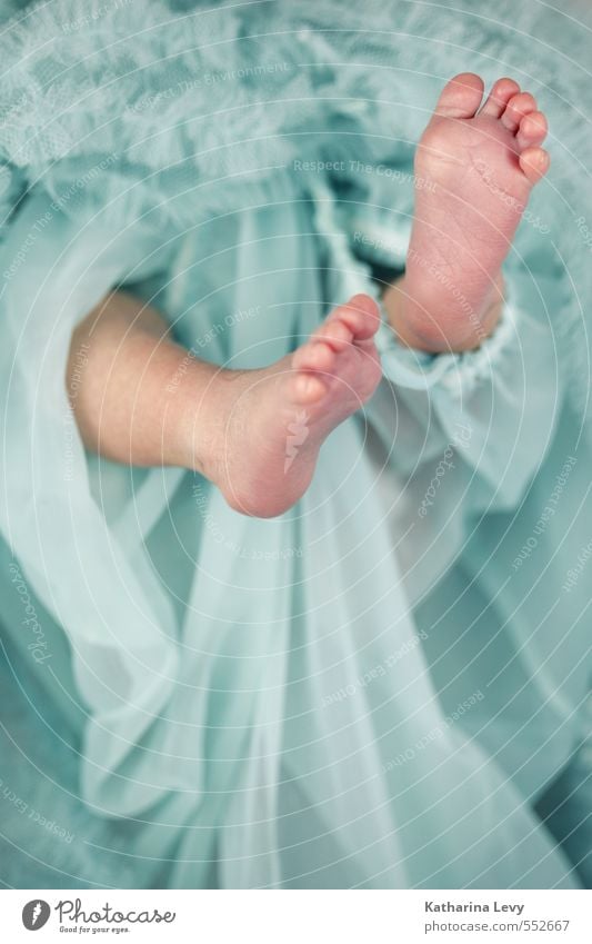 Taufe Glück Haut Erholung Baby Familie & Verwandtschaft Kindheit Beine Fuß 1 Mensch 0-12 Monate Stoff Tüll fallen hängen klein blau rosa Warmherzigkeit