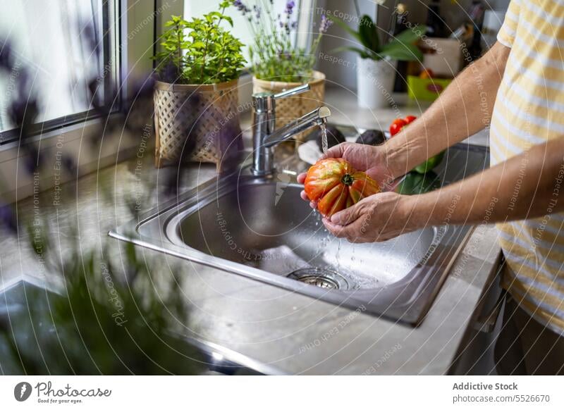 Mann wäscht Tomate unter dem Wasserhahn im Waschbecken Waschen Bestandteil vorbereiten Koch männlich Küche Prozess Vitamin Hausarbeit frisch strömen Sauberkeit