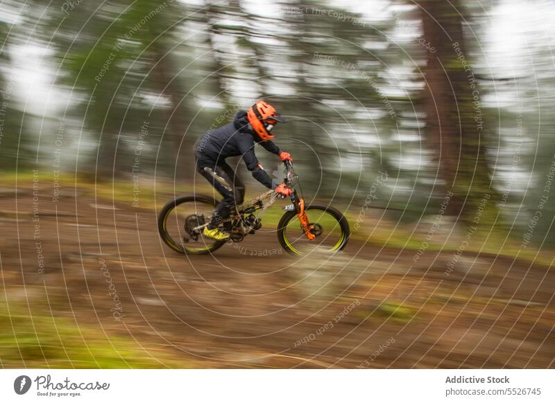 Starker Radfahrer, der auf der Straße im Wald radelt extrem bergab Sportler Fahrrad Lifestyle Berge u. Gebirge schnell Aktivität Abenteuer Mitfahrgelegenheit