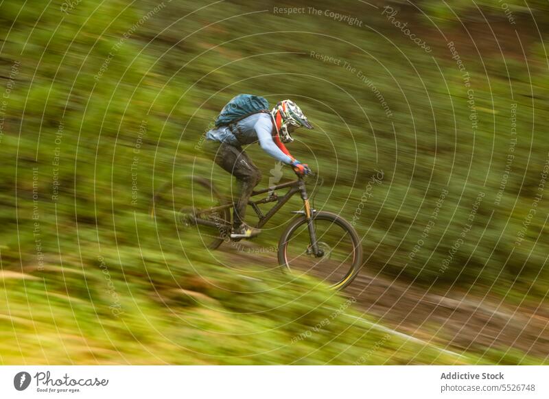 Starker Radfahrer, der auf der Straße im Wald radelt extrem bergab Sportler Fahrrad Lifestyle Berge u. Gebirge schnell Aktivität Abenteuer Mitfahrgelegenheit