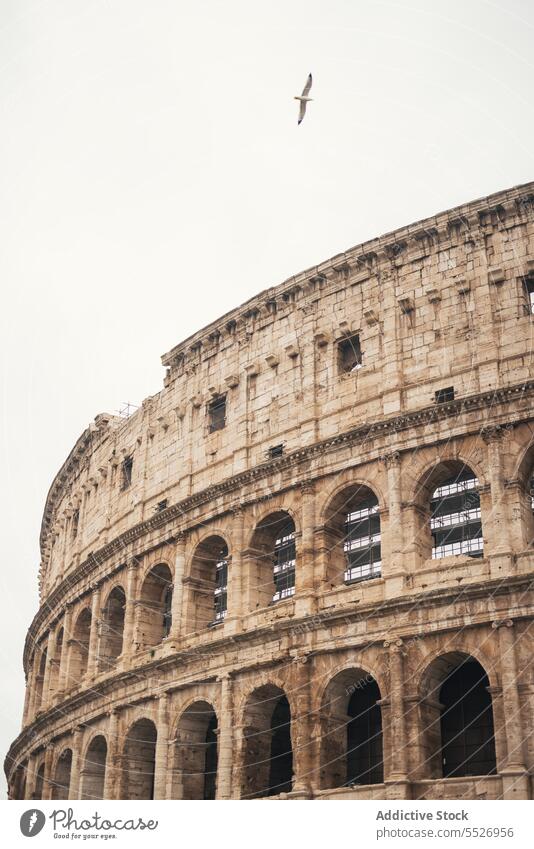 Das Amphitheater Kolosseum im Zentrum der Stadt Rom Sightseeing Italien Forum römisches Wahrzeichen Historie Theater unesco alt Fassade vergangen antik