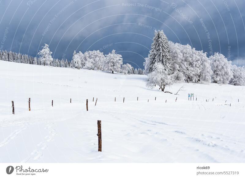 Landschaft im Winter im Thüringer Wald in der Nähe von Schmiedefeld am Rennsteig Schnee Thüringen Baum Natur Himmel Wolken blau weiß Frost kalt Weg Pfahl Urlaub