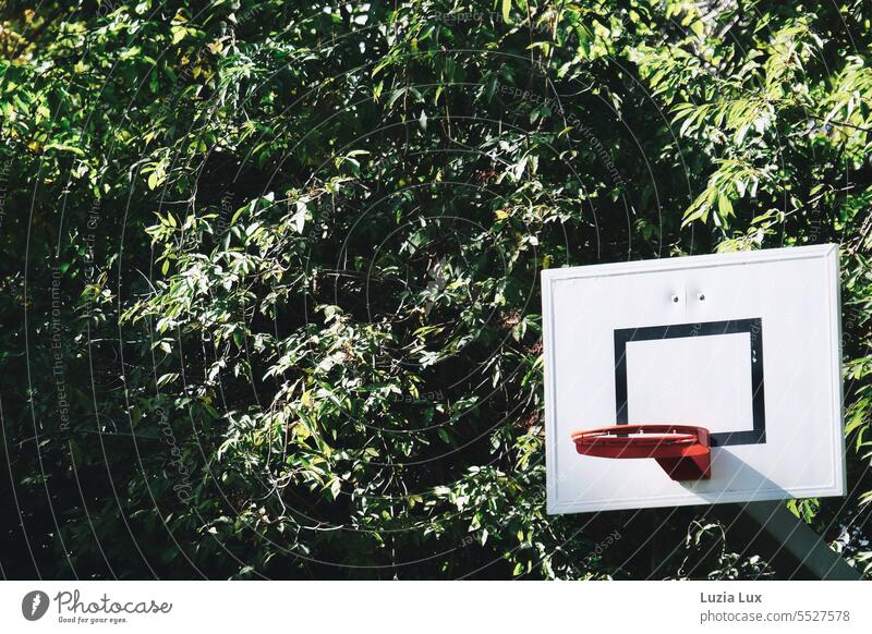 leuchtend roter Baketballkorb ohne Netz, vor üppigem Grün Basketballkorb Farbe Lifestyle Freizeit & Hobby Spielen Ballsport Sport grün Sonnenschein Sommer