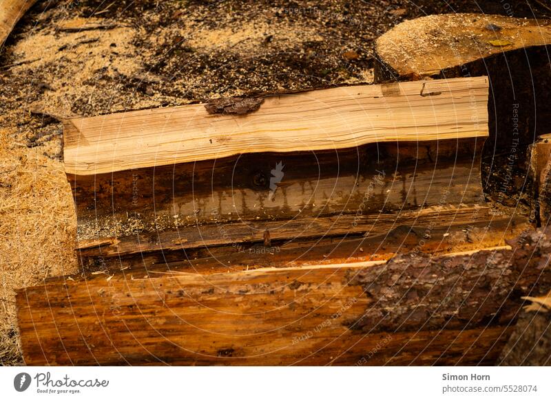 Grob gesägtes Stück eines Baumstammes Holz Holzverarbeitung Waldarbeit Brennholz Forstwirtschaft Nutzholz geschnitten Abholzung Baumaterial Baumfällarbeiten