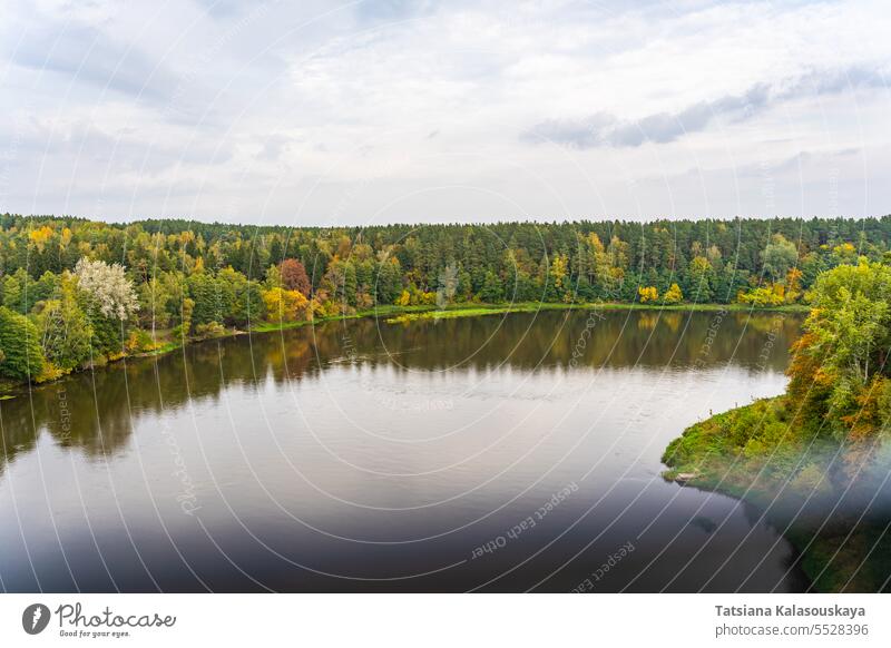 Herbstlandschaft: Der Fluss Neman oder Nemunas aus der Vogelperspektive in Druskininkai, Litauen Antenne Ansicht Dröhnen fallen Laubwerk Wald Bäume Landschaft