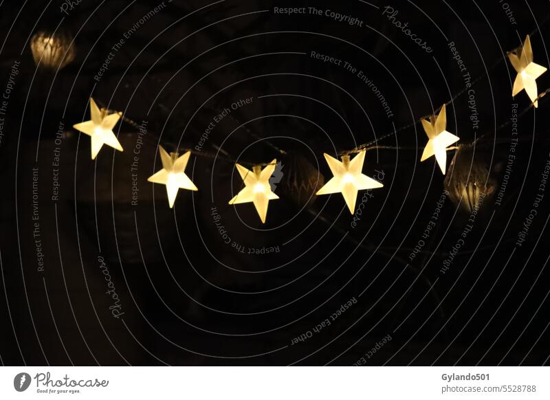 Glühende Lichterketten "Sterne" vor schwarzem Hintergrund Weihnachtsstern Weihnachten Garten golden Nacht Weihnachten & Advent hell Design schwarzer Hintergrund