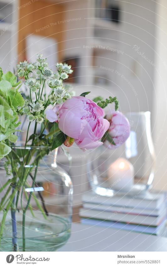 Pfingstrose Pfingstrosen Blüte Blütenknospen Blühend Blütenblatt rosa zart Zartheit Strauß Geschenk Blumenstrauß Frühling Frühlingsblume Interieur Vase bücher