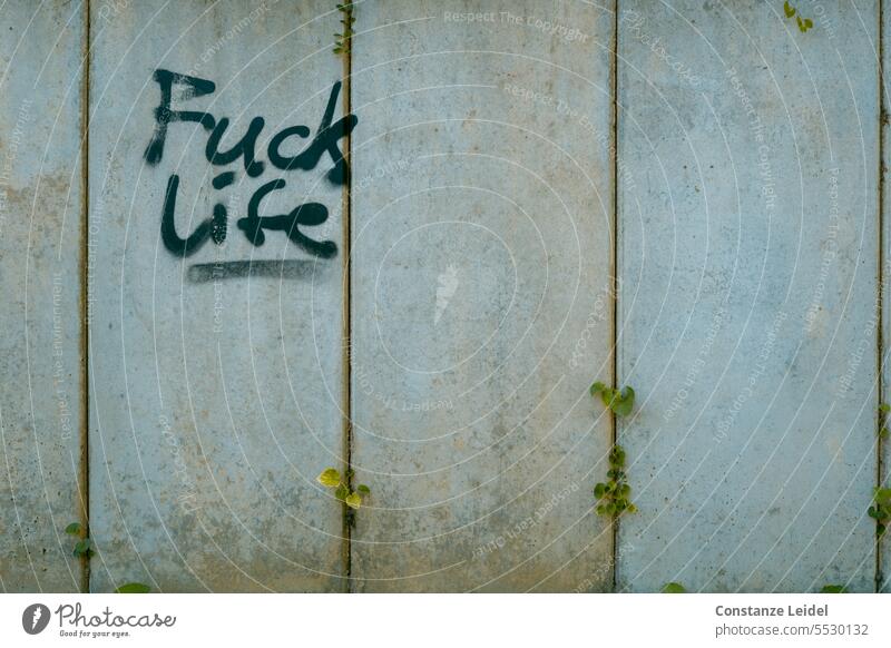 Graffiti 'Fuck life' an Betonwand, durchbrochen von kleinen, neu gewachsenen Blättern. grau Schriftzug Wut Aggression Schriftzeichen Gefühle Mauer rebellisch