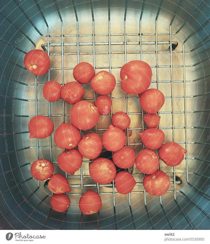 Tomatensalatomatensalato Menge rot rund gleich lecker gesund eigene Ernte Gemüse Spülbecken Gestell Metall abtropfen frisch Lebensmittel Ernährung Gesundheit