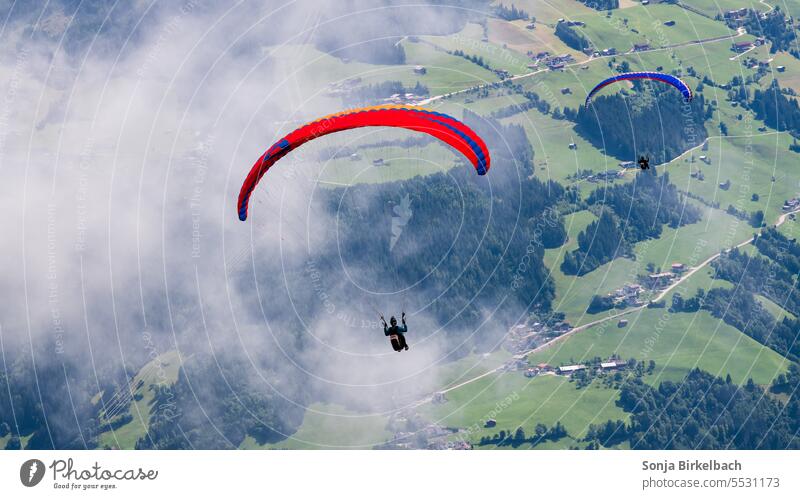 Die Welt von oben...Paraglider im Landeanflug Paraglining Vogelperspektive Wiese Außenaufnahme Luftaufnahme dunkel Farbfoto Landschaft Wolken Sport Extremsport