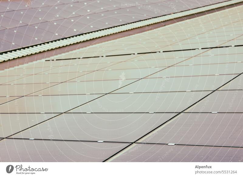 Energieeinfanganlage I Solar Solarzelle Photovoltaik Erneuerbare Energie nachhaltig Sonnenenergie solar Dach Solarzellen Klimawandel Klimaschutz