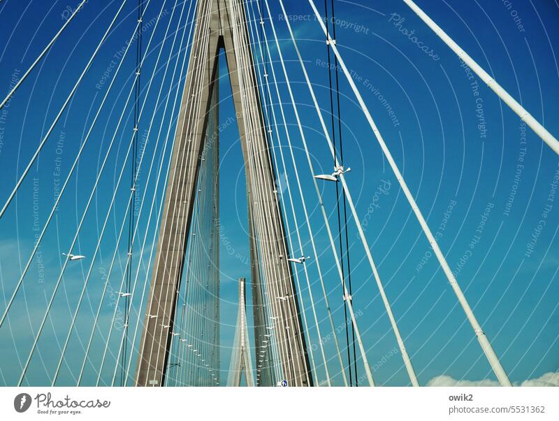 Drahtseilakt Brücke Hängebrücke Schrägseilbrücke Zusammenhalt innovativ Bauwerk hoch groß Außenaufnahme Frankreich Le Havre Normandie Pont de Normandie