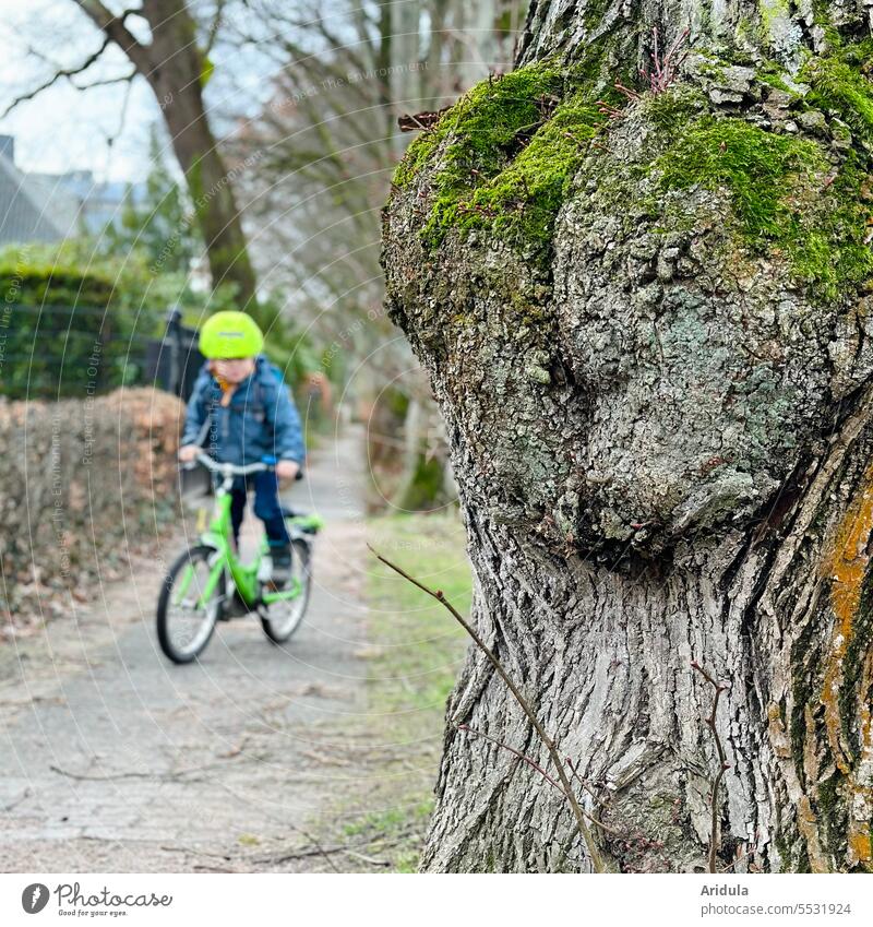 Kind fährt mit dem Fahrrad und Fahrradhelm auf dem Fußweg, im Vordergrund steht ein bemooster Baumstamm Helm Fahrradfahren Sicherheit Schulweg Gehweg
