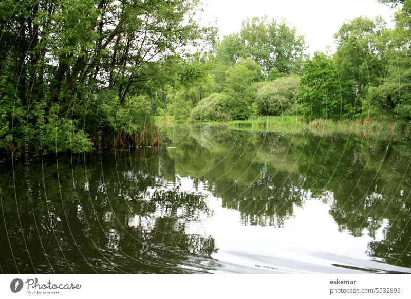 Spreewald Fluss Flussufer Wasser Natur Summer szenische Darstellungen im Freien Landschaft Baum See blau Reflexion & Spiegelung Schönheit in der Natur