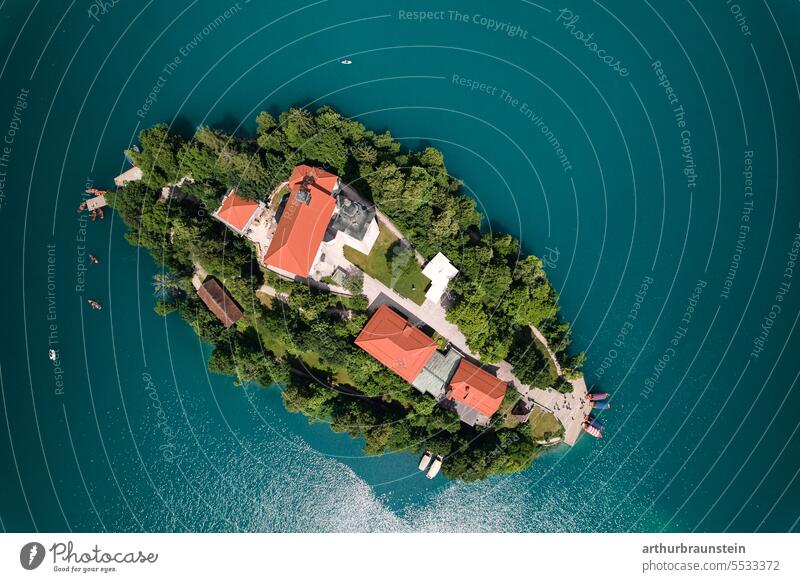 Insel am See von Bled Slowenien bei Sonnenschein im Sommer mit der Drohne von oben fotografiert Bleder See Vogelperspektive Außenaufnahme Farbfoto Natur Wasser