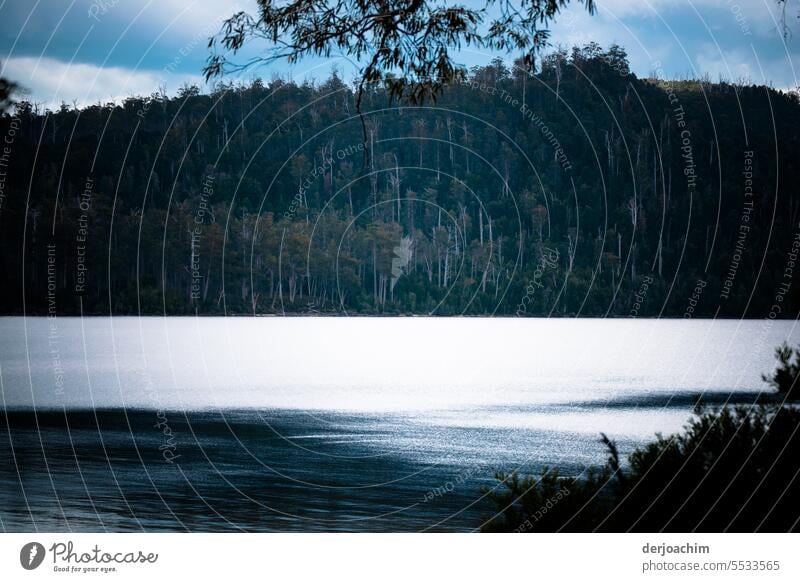 Idyllische  Abendstimmung am See. Lake St. Clair Tasmanien Seeufer Außenaufnahme Farbfoto Natur Wasser Menschenleer Umwelt Reflexion & Spiegelung Tag Idylle