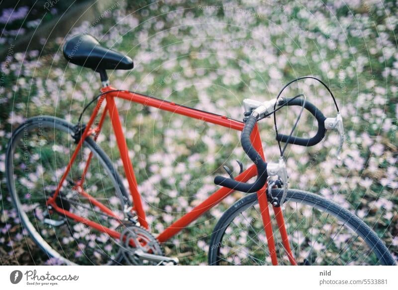 Rotes Vintage Rennrad Fahrrad retro Lifestyle sportlich Außenaufnahme Mobilität Sport Farbfoto Freizeit & Hobby Fahrradfahren rot Stahl Verkehrsmittel Rad