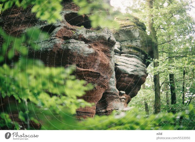 Elsass –   grotte des amoureux Alsace Frankreich Mittelgebirge Natur ruhig Licht Idylle Farbfoto Außenaufnahme Stimmung Analogfoto Kodak